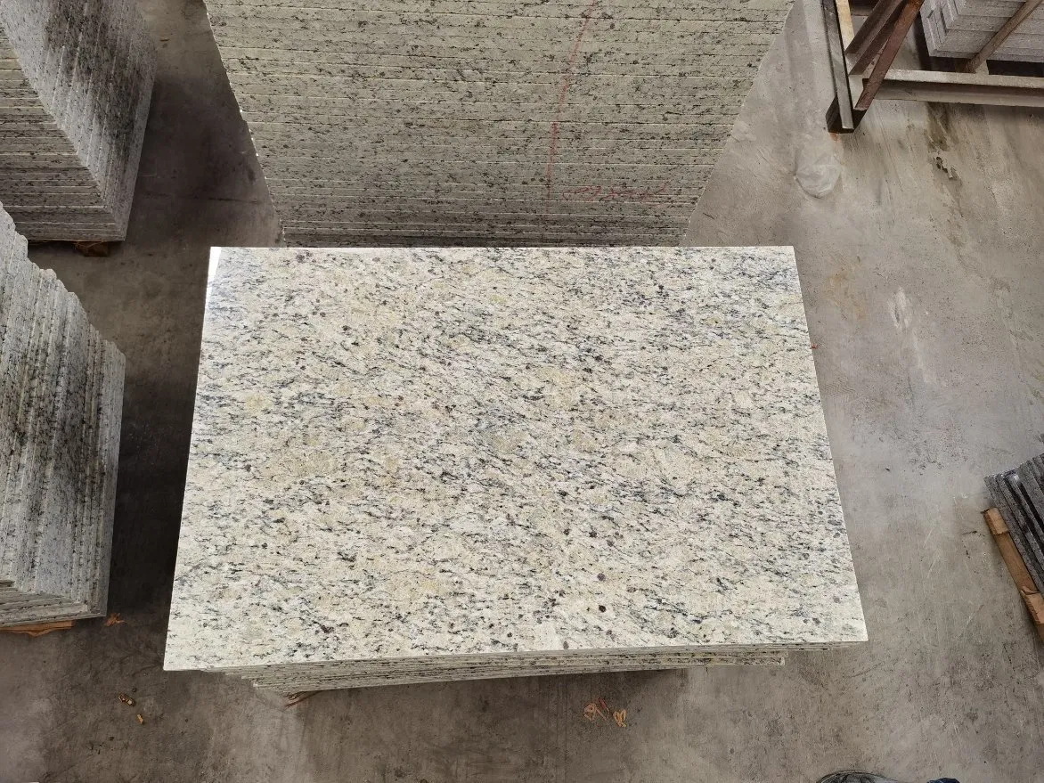 Santa Cecilia Granite/Stone Countertop Wholesale Kitchen Furniture Bathroom Bullnose Vanity/Top