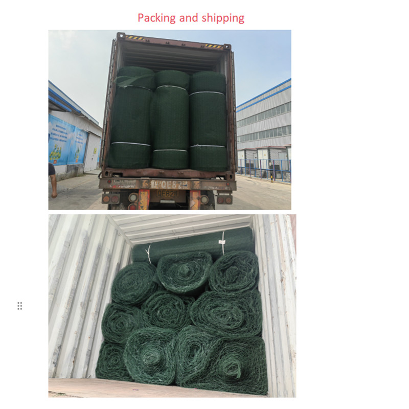 Em4 3D- Vegetation Mat 3D Geomat 3D Composite Vegetation Network Drain Net