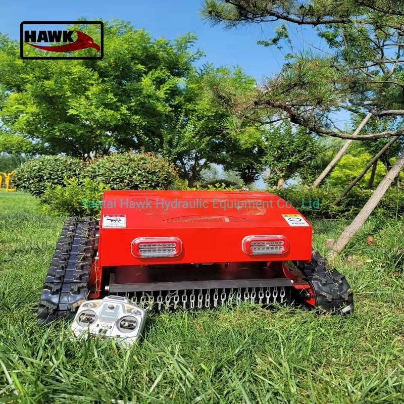 Lawn Mower Lawn Mower Price Gasoline Petrol Crawler Grass Cutting RC Robot