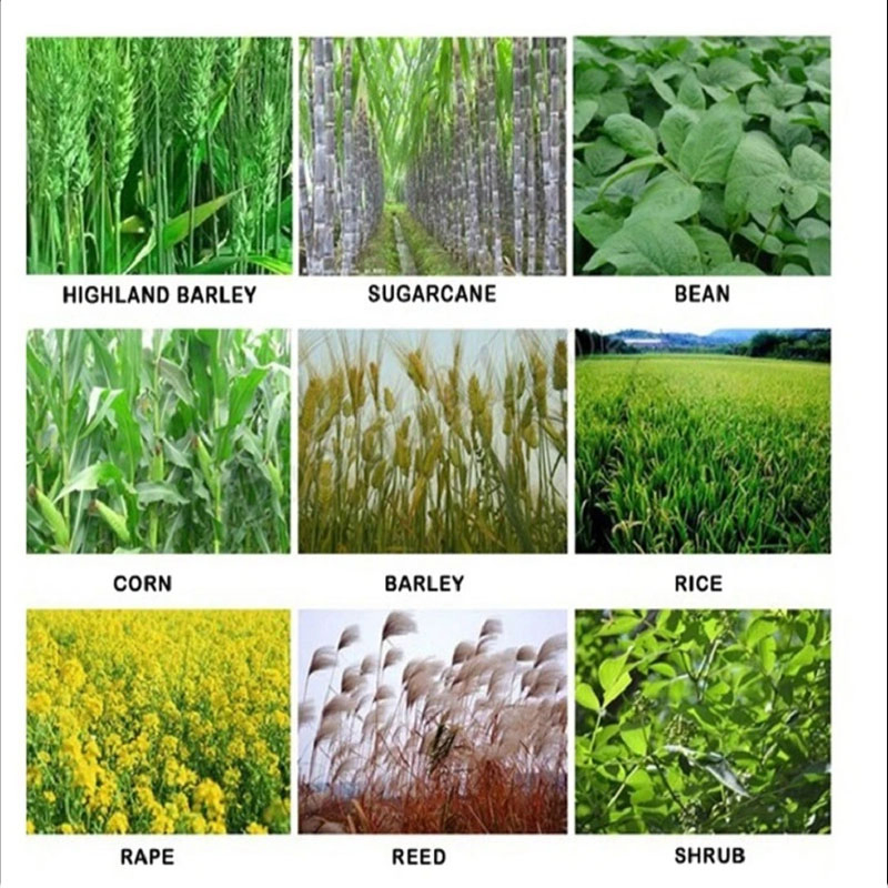 Brush Cutter 26cc 33cc 43cc 52cc (BC260) Grass Trimmer 40-5f Good Quality Economy