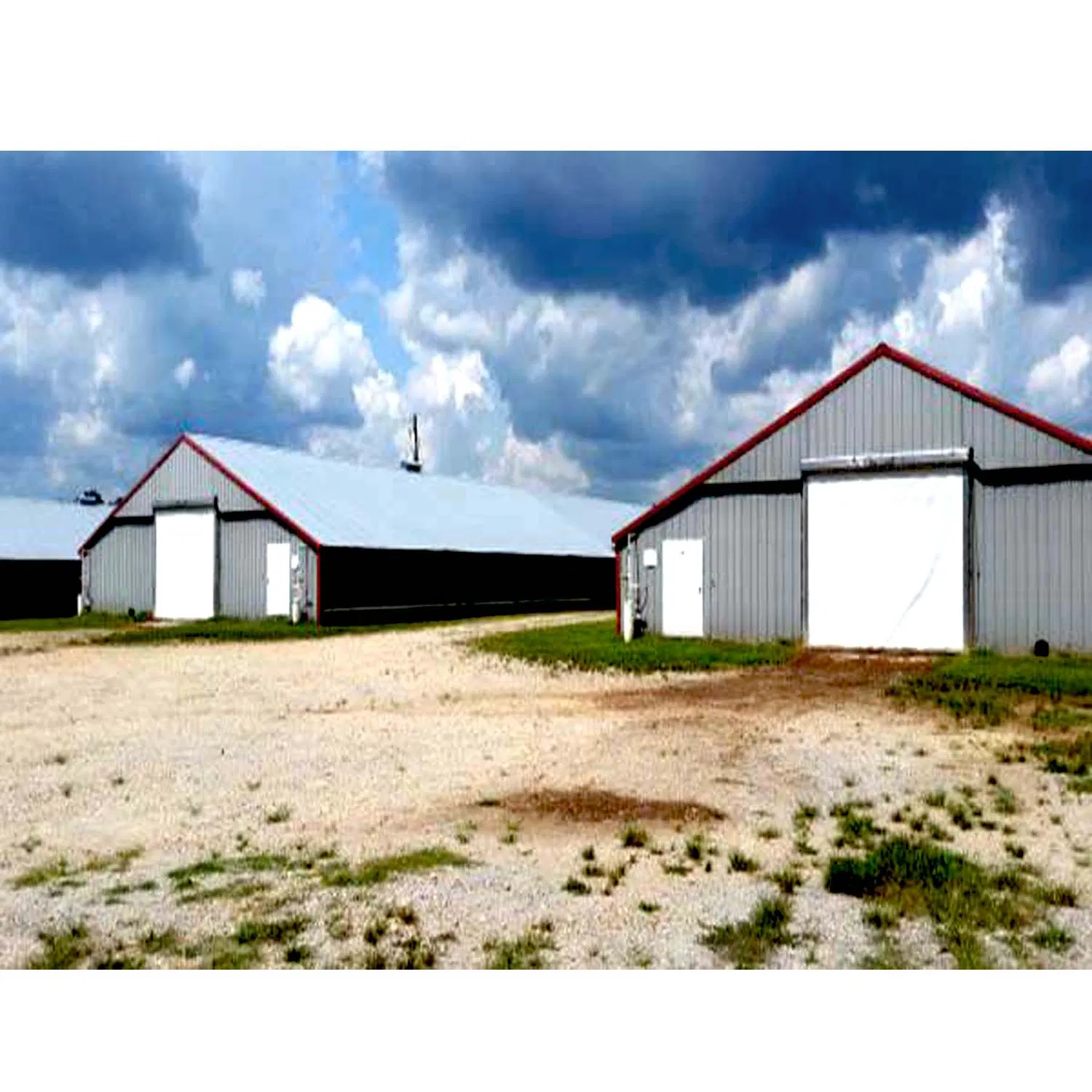 Modern Prefab Poultry Farming Shed Building Chicken Farm House