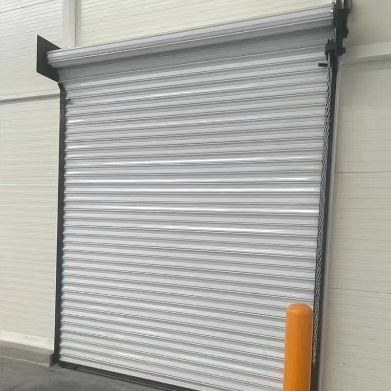 Normal Metal Electric Manual Proof Wind Roll Door