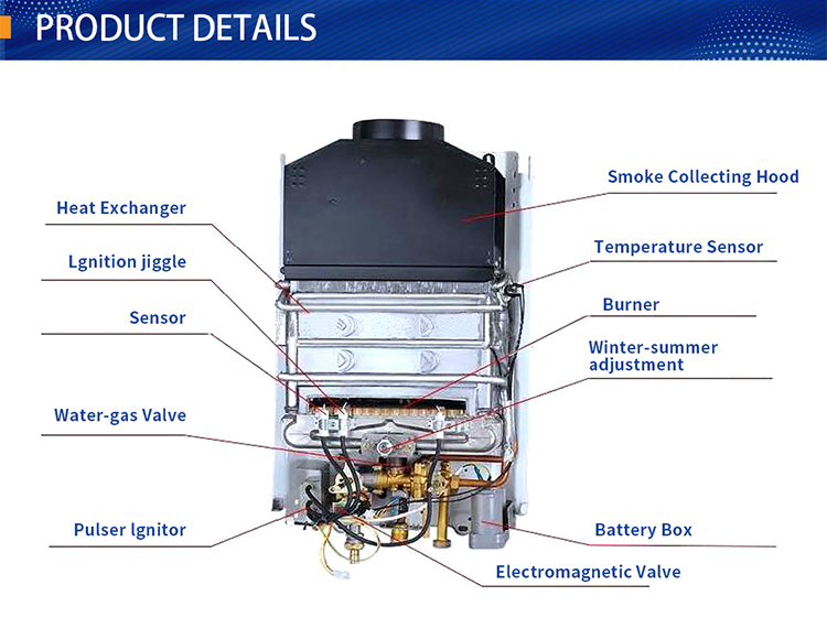 Flue Type 6L Wall Mounted Tankless Instant LPG/Ng Gas Water Heater