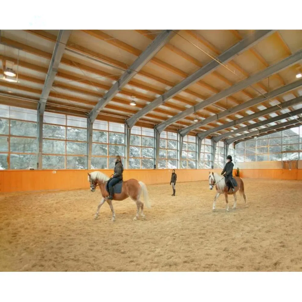 Horse Riding Arena Steel Structure Building Open Side Shed Full Enclosed Arena