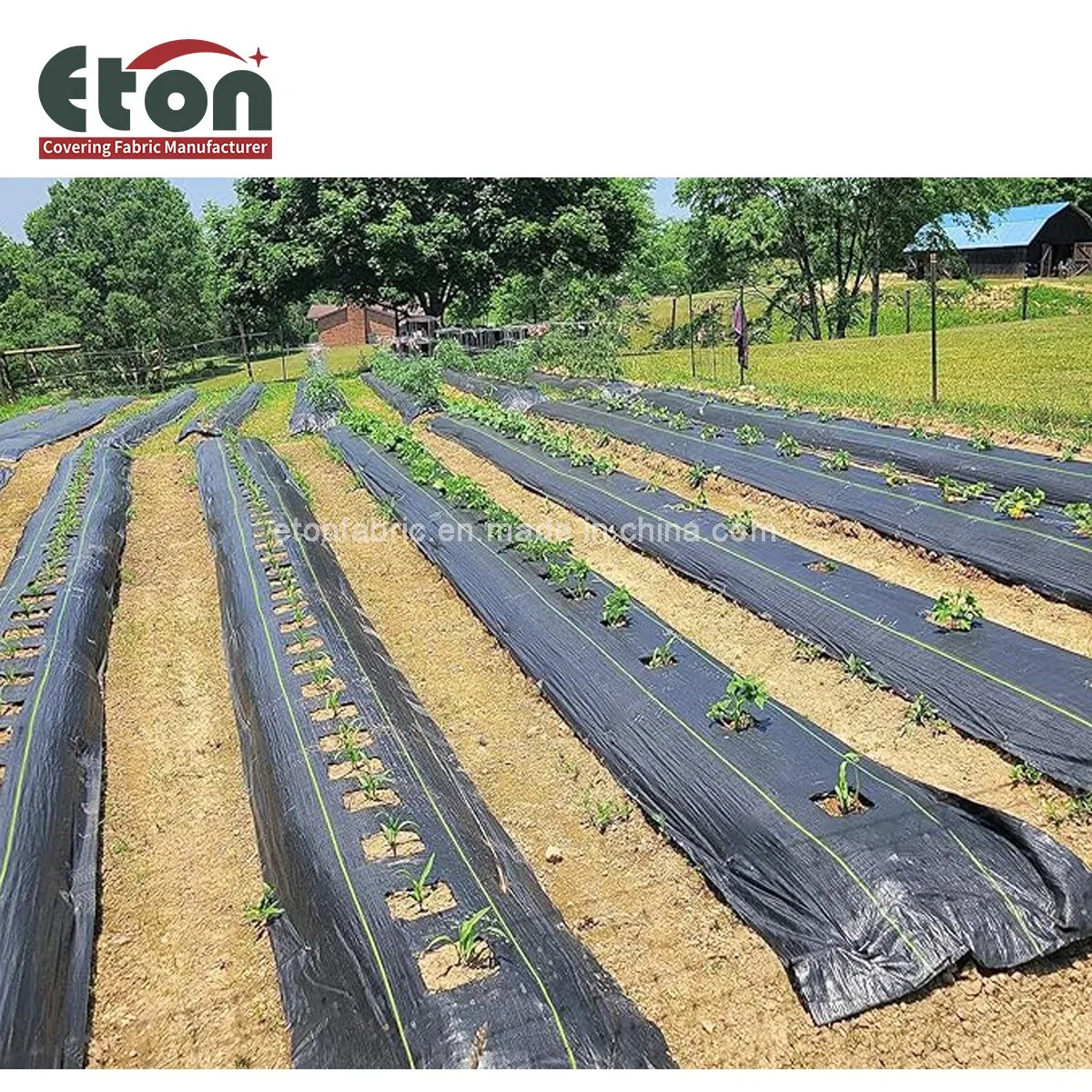PP Woven 130GSM Width 5.25m Black/Green /White Geotextile Weed Control for Agriculture/Garden