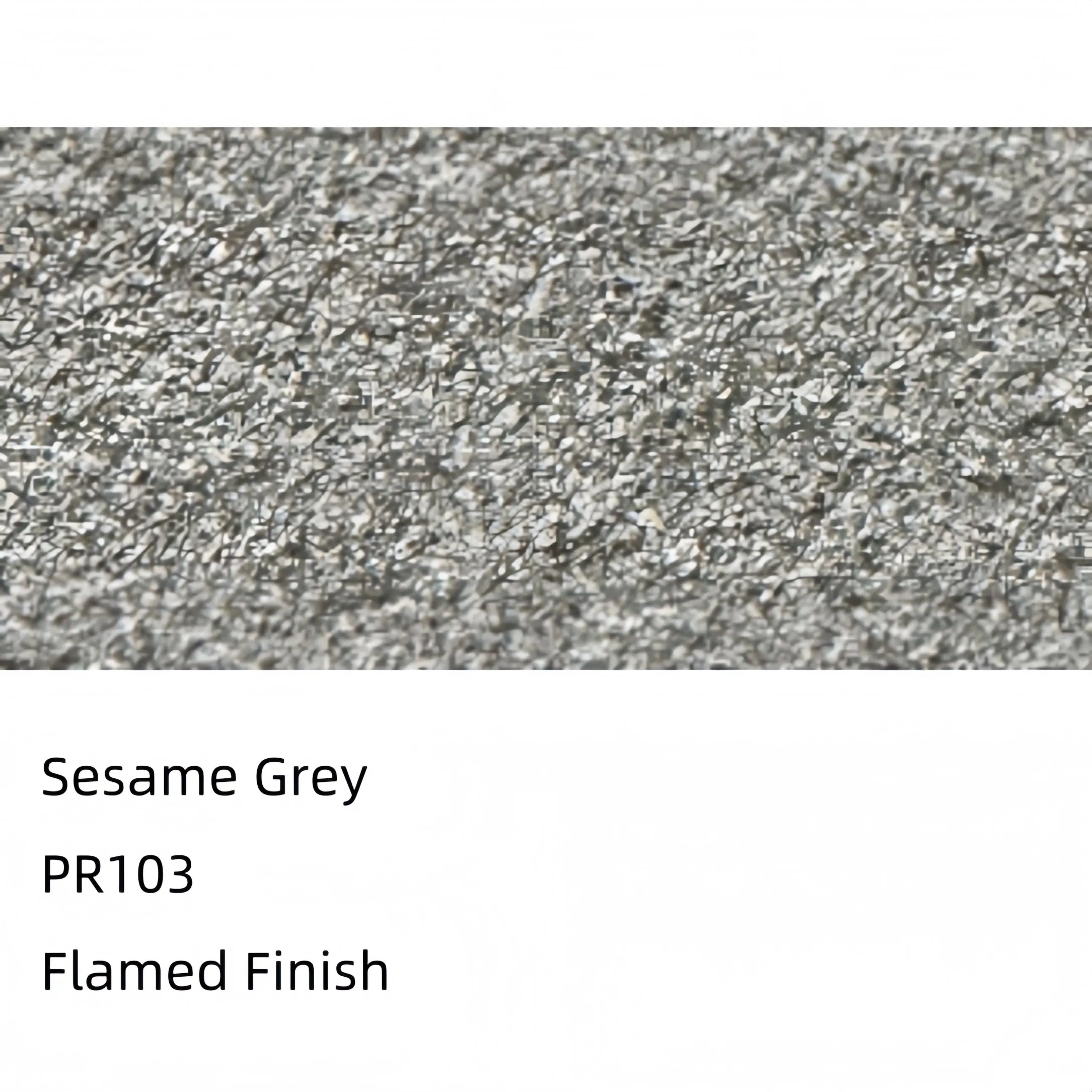 Керамогранитная плитка Pari Granite Sesame 600x600