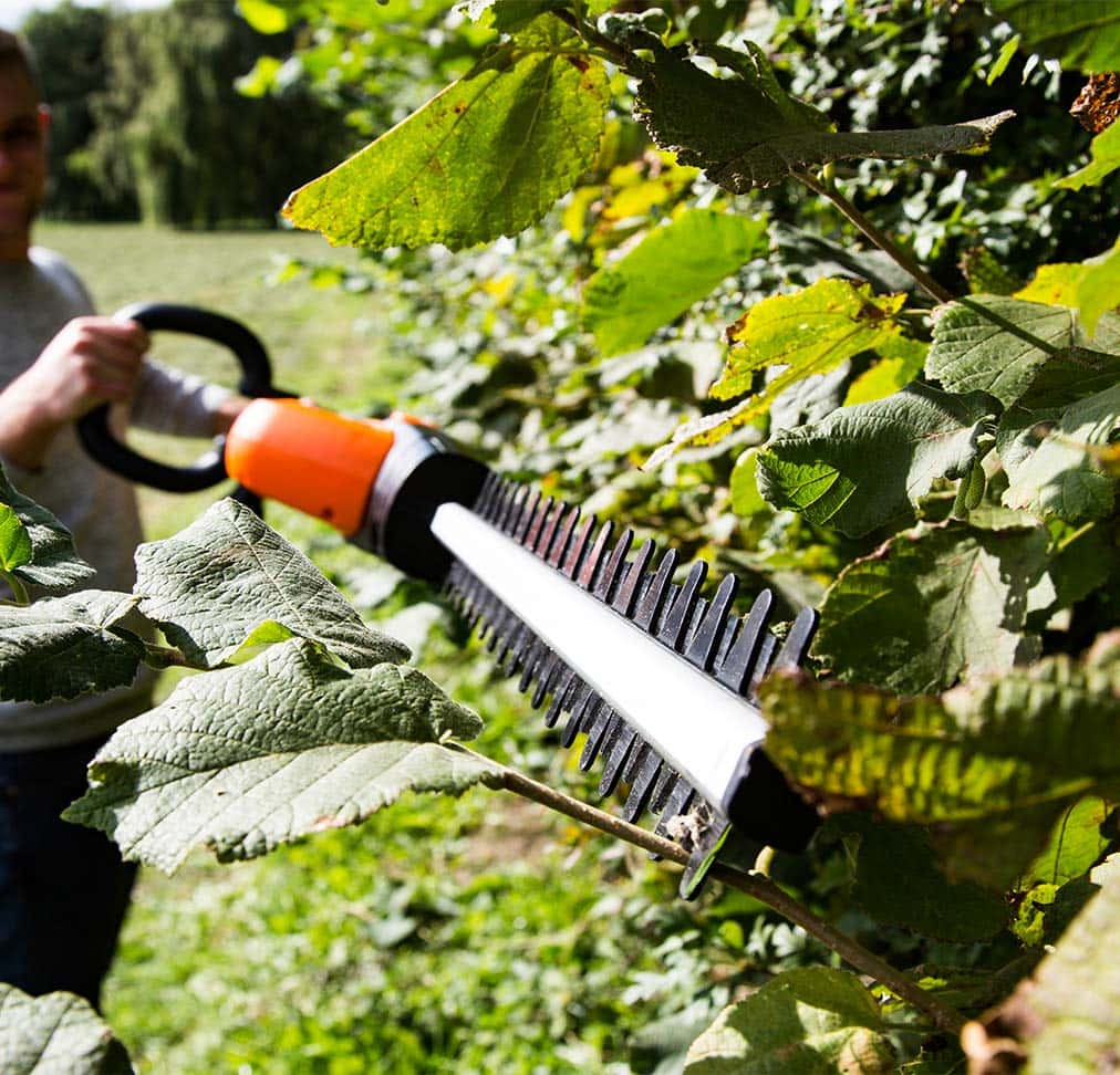 Multi-Position Blade Cordless Double Blade Tree Hedge Lh C41A Trimmer