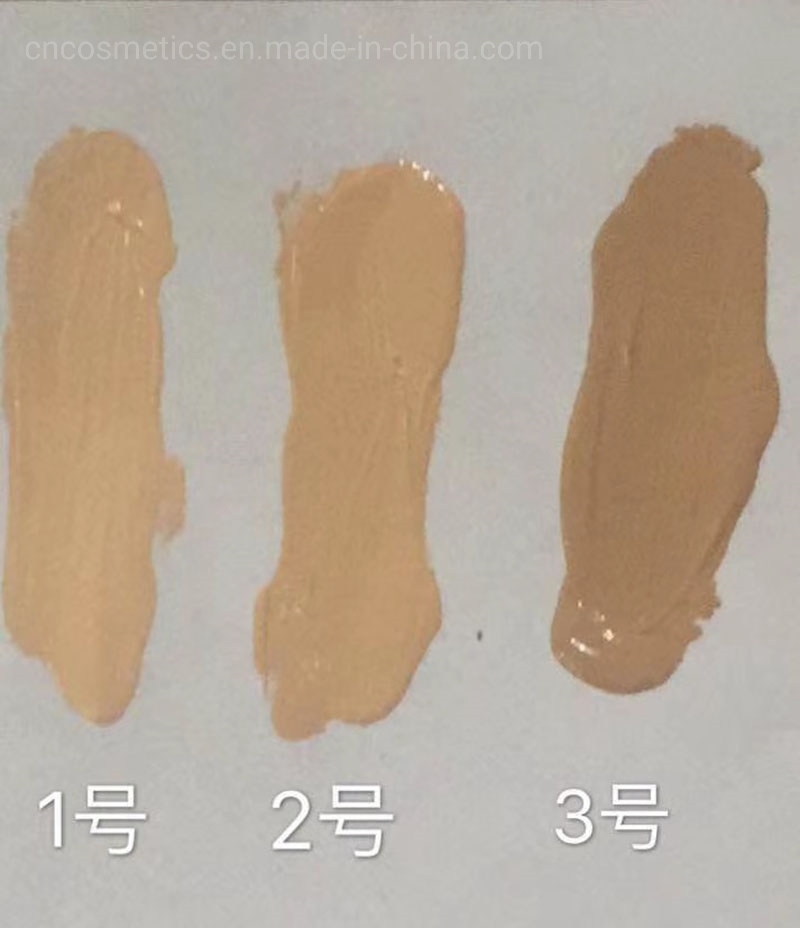Best Sale Full Concealer Waterproof Cosmetic Control Oil Foundation Liquid Foundation