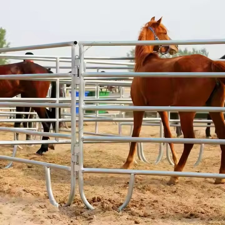 Premium Metal Field Fence for Cattle and Horses
