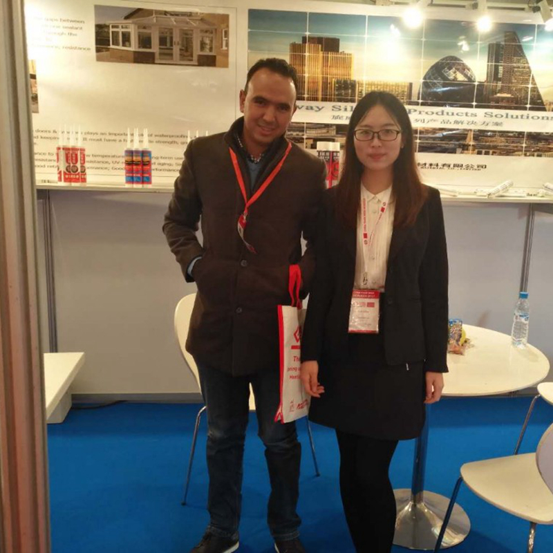 Manufacturer of Elastomeric Waterproof Ms Coating Products