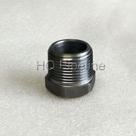 Forged Steel Thread Pipe Fittings/A105 NPT Threaded Hexagon Bushing