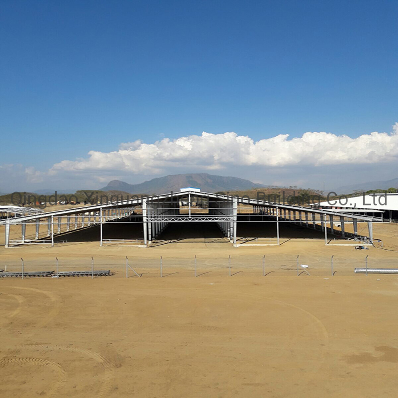 PNG Hot-Dipped Galvanized Steel Structure Cow Shed for Dairy Farm