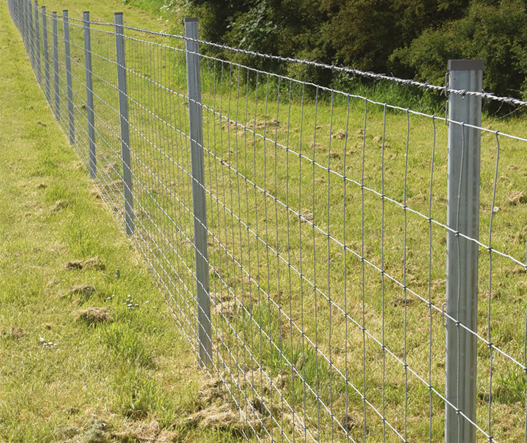Hot Dipped Galvanized Metal Wire Mesh Livestock Fence
