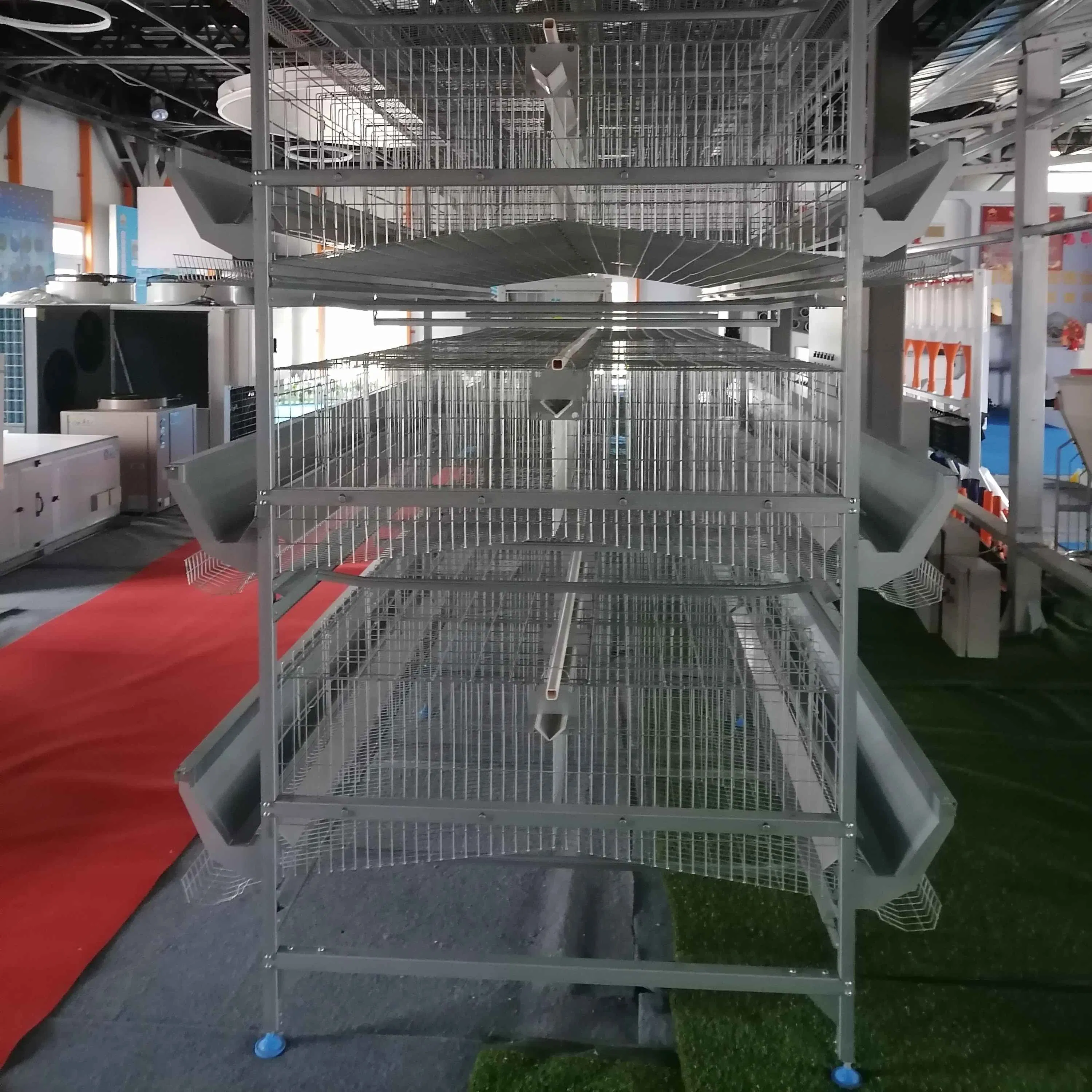 Prefab Steel Structure Animal Poultry Shed Chicken Farming House Building