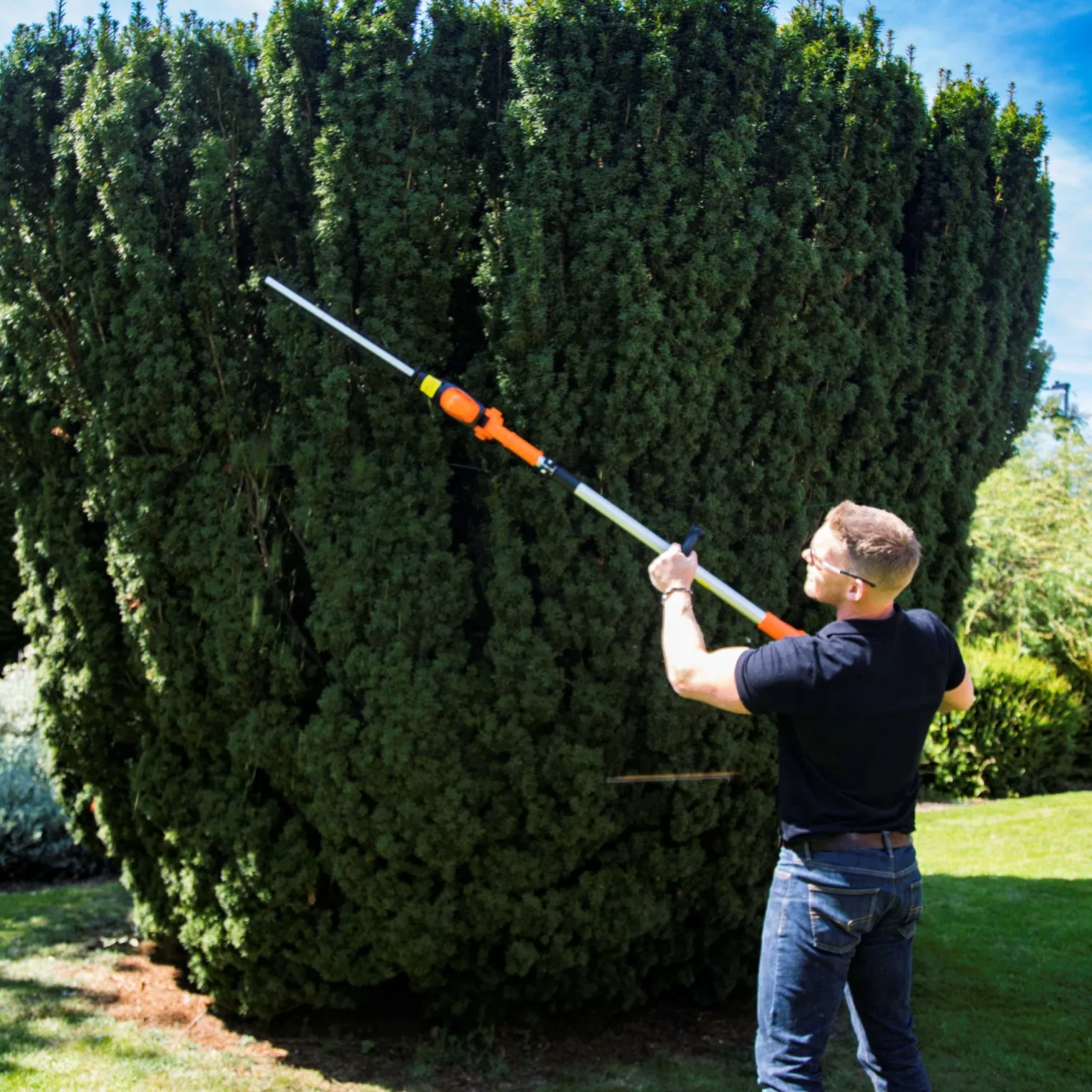 Lh C41A - Cutting Edge Battery-Powered Aluminium Tube Hedge Cutter Tree Trimmer