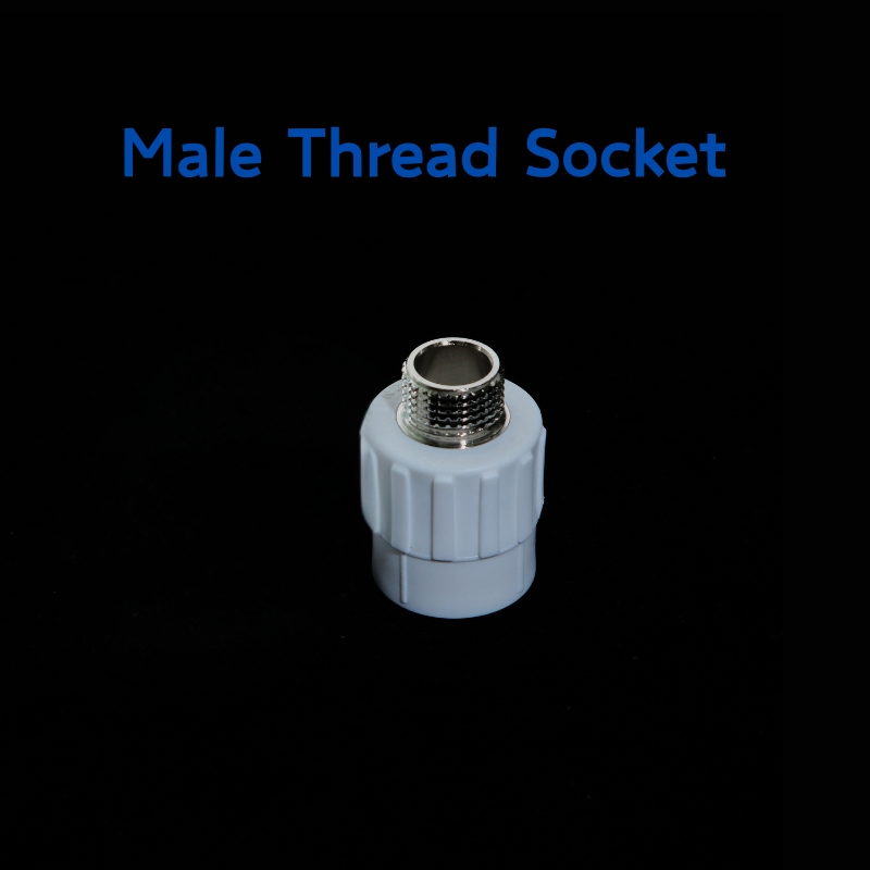 Wholesales PPR Male Thread Socket of PPR Pipe Fittings 20*1/2'