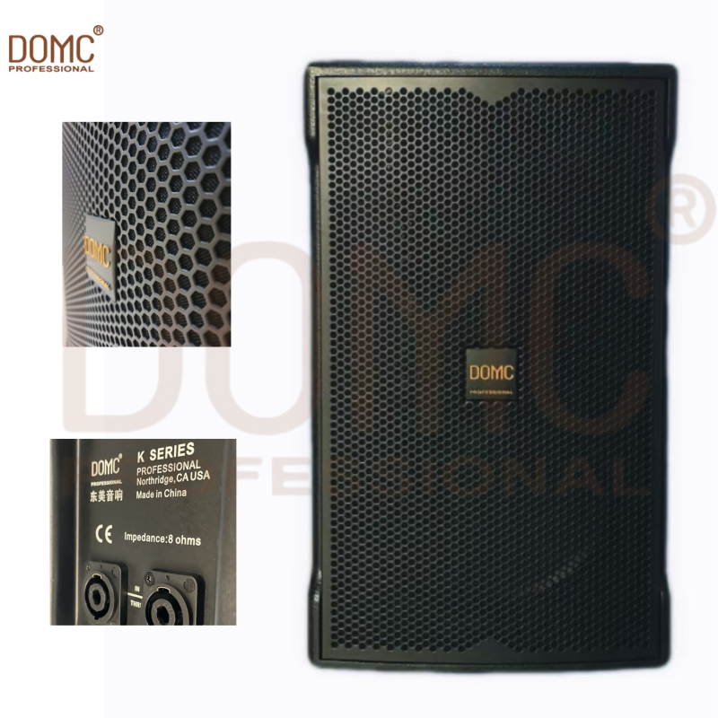 Premium 10-Inch Stage Speaker with High Power Output