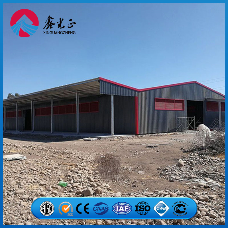 Heavy-Duty Steel Roof Support Grid Chicken Prefab Metal Farming Equipment Steel Structure Sheep/Goat/Pig/Hog/Cattle/Cow/Poultry House/Shed