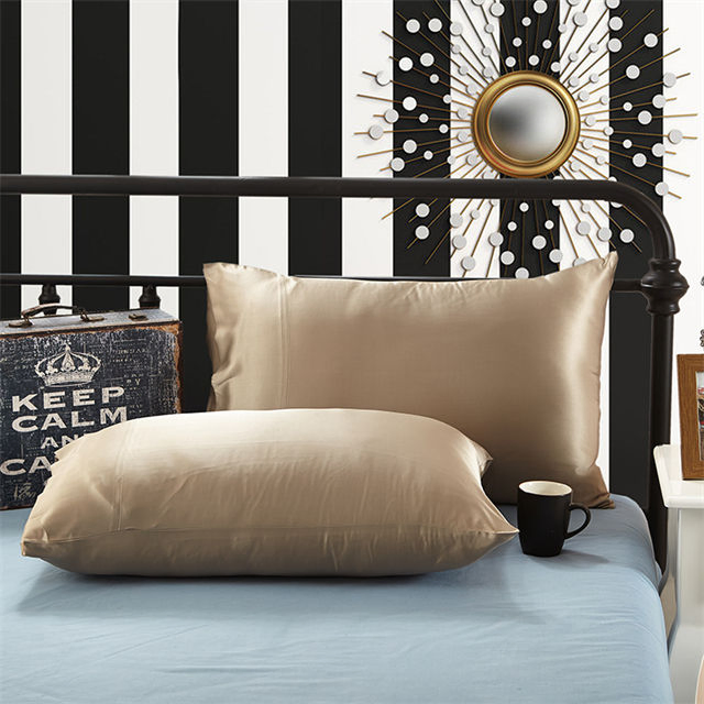 Factory Supply Excellent Quality Simple Modern Bedroom Decorative Silk Pillow Case for Hair and Skin