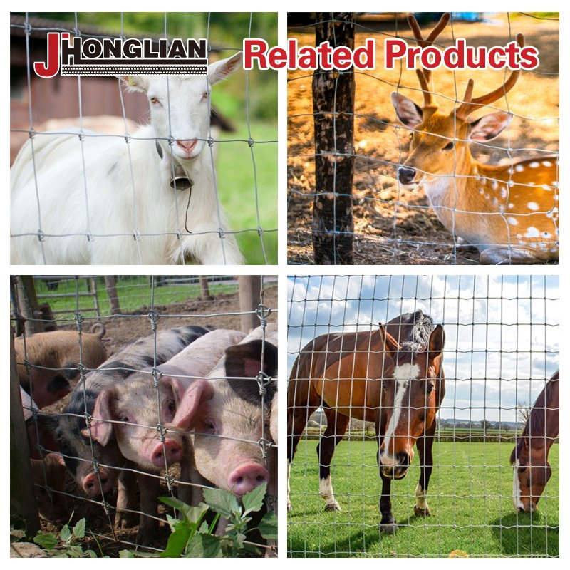 High Tensile Cattle Fence Perfect for Cattle, Sheep, Pasture and Farm Boundary