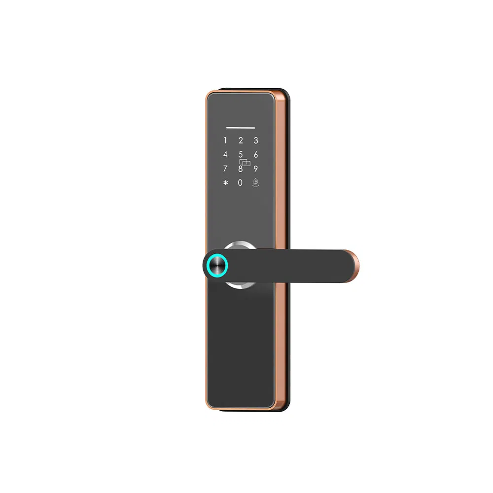 Fingerprint Combination Electronic Home Smart Villa Front Door Handle Keyless Entry Locks