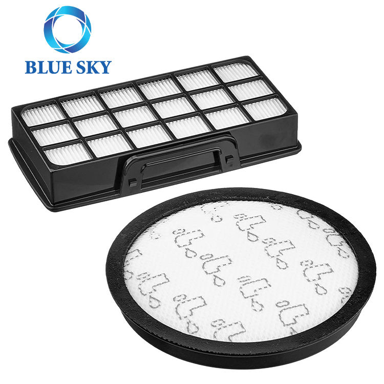 HEPA Filter and Pre-Motor Filter for Rowenta Zr006001 RO6941e
