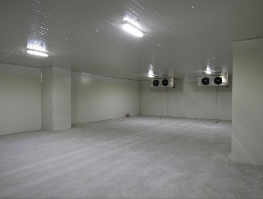 Online One-on-One Solution Warehouse Steel Structure Building Prefabricated Cold Storage