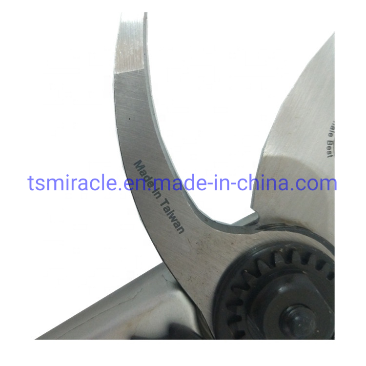 Durable Using Low Price Pruners Professional Manual Pruner Scissors Garden Shears