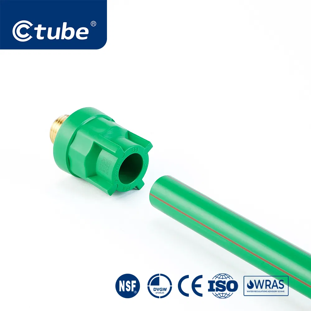 Ctube Durable PPR Male Reducer Couplings for Secure and Leak-Proof Transitions
