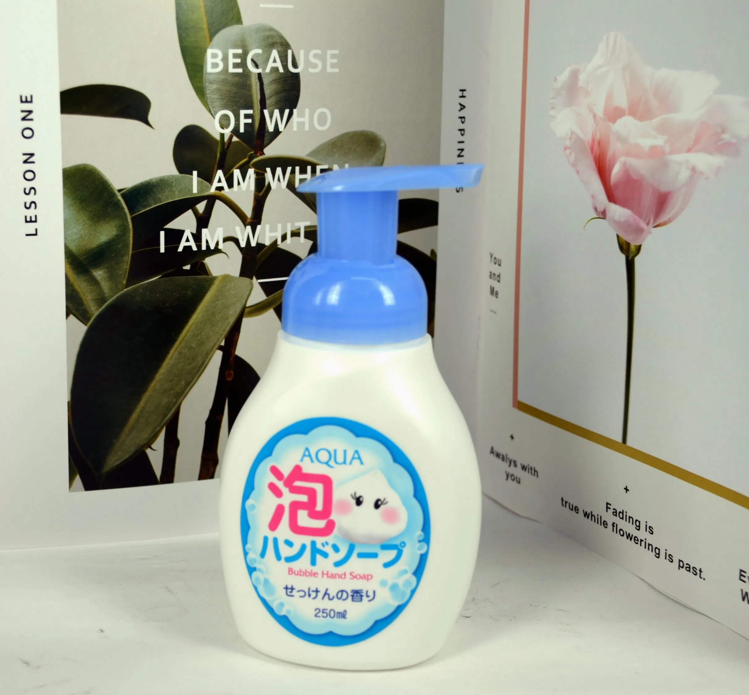 250ml Foaming Hand Soap Rich in Moisturizers