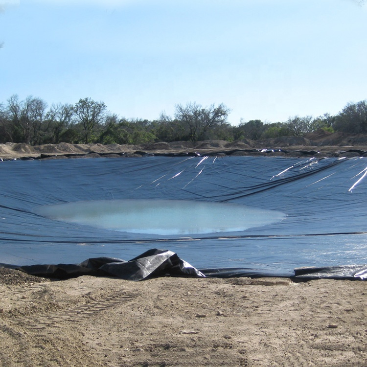 High Deformation Resistance Lightweight 1mm HDPE Geomembrane for Irrigation Canals