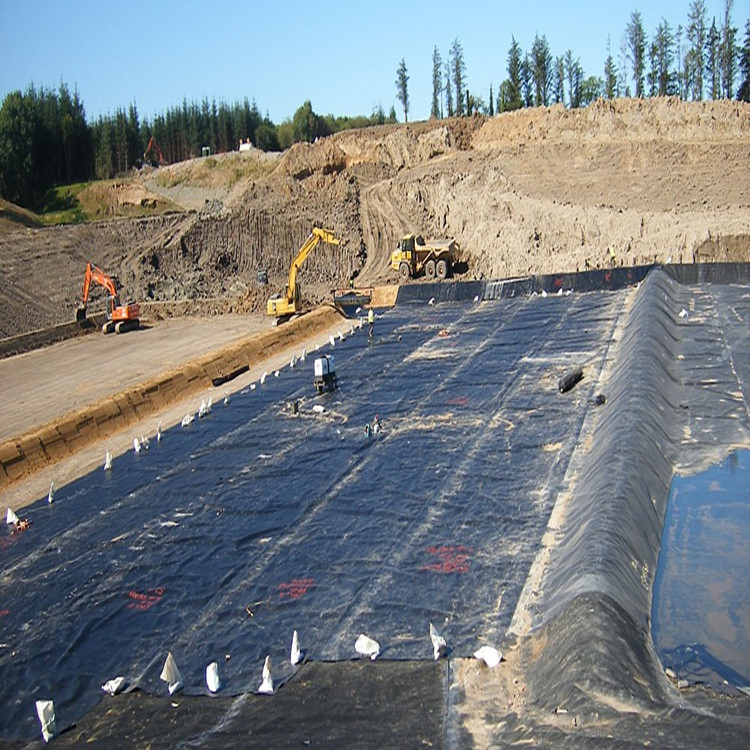 ISO CE SGS Certification PVC Pond Liner Geomembrane for Artificial Lake in Thailand