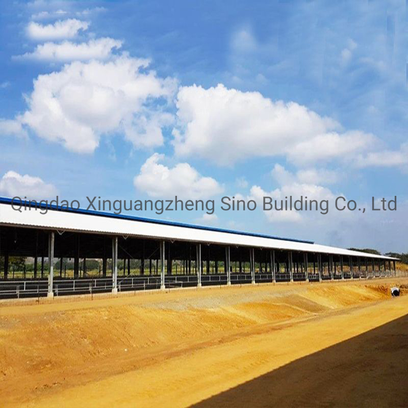 PNG Hot-Dipped Galvanized Steel Structure Cow Shed for Dairy Farm