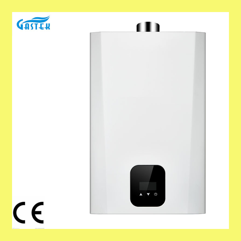 Wholesale Forced Type Tankless Gas Water Heater with CE Certificate