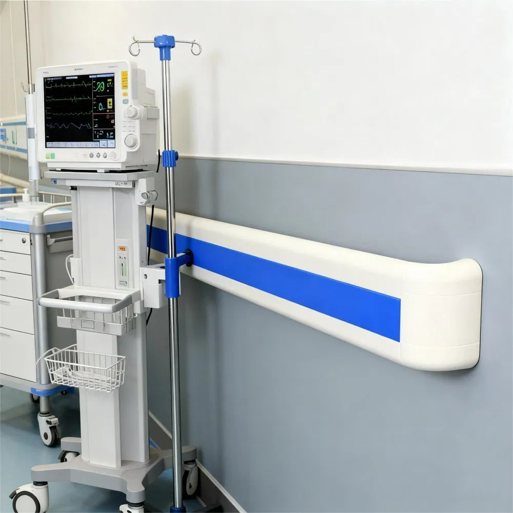 Hospital Handrail for Enhanced Support of Elderly and Disabled in Care Facilities