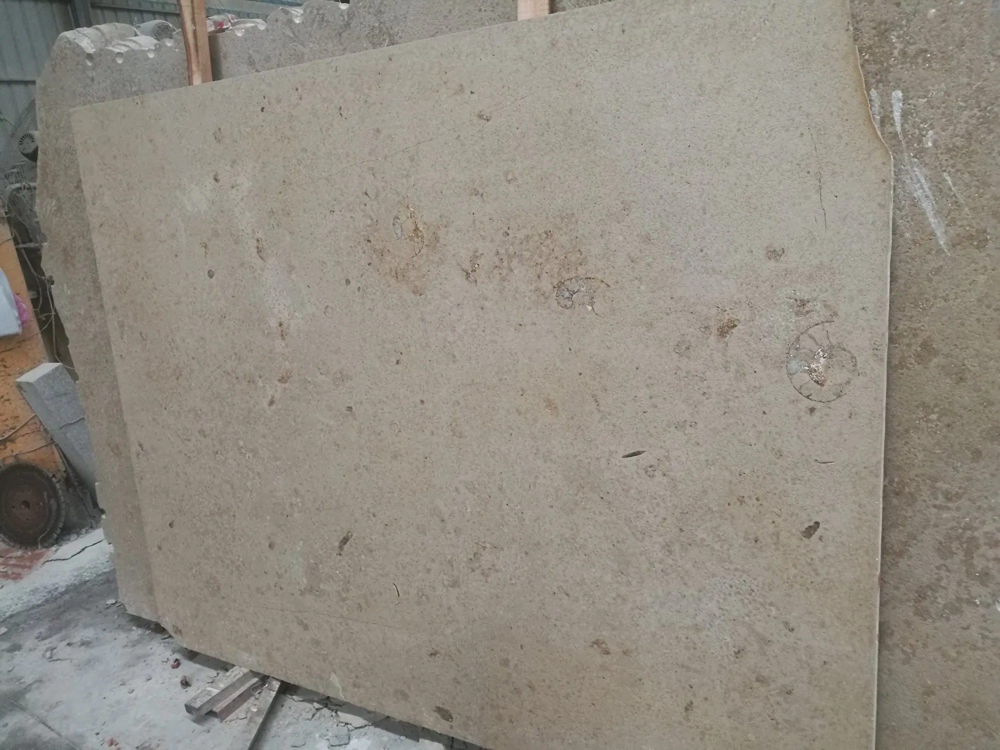 Jura Beige Limestone Polished Big Slabs for Indoor & Outdoor Facade Tiles Floor Tiles