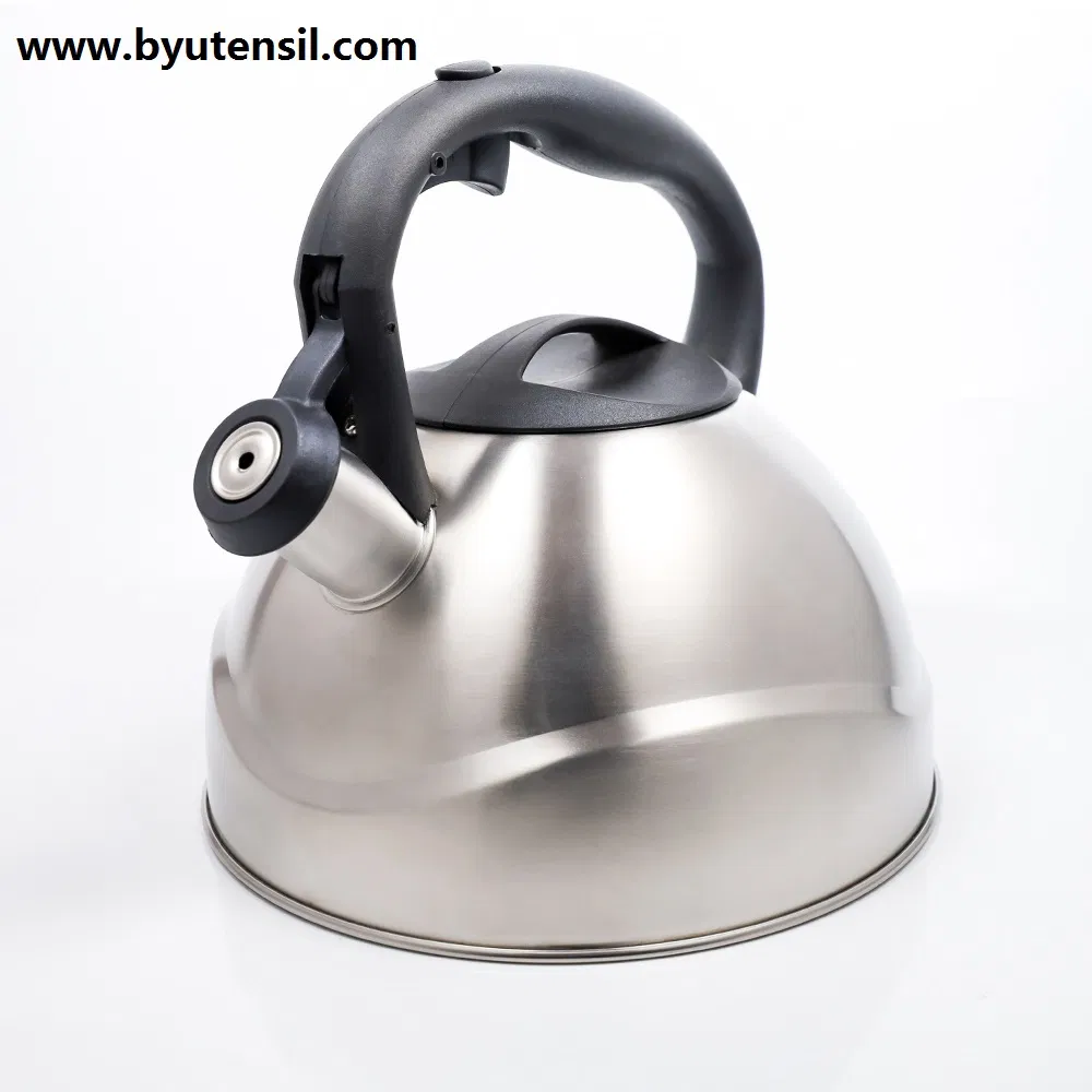 Stainless Steel Tea Pot Kettle Home
