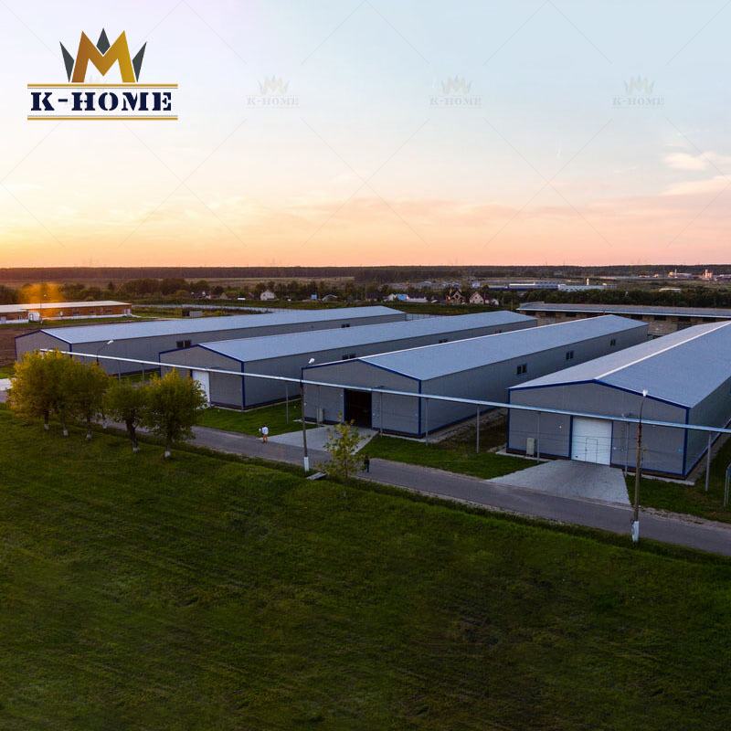 Factory Price Prefabricated Peb Steel Structure Workshop
