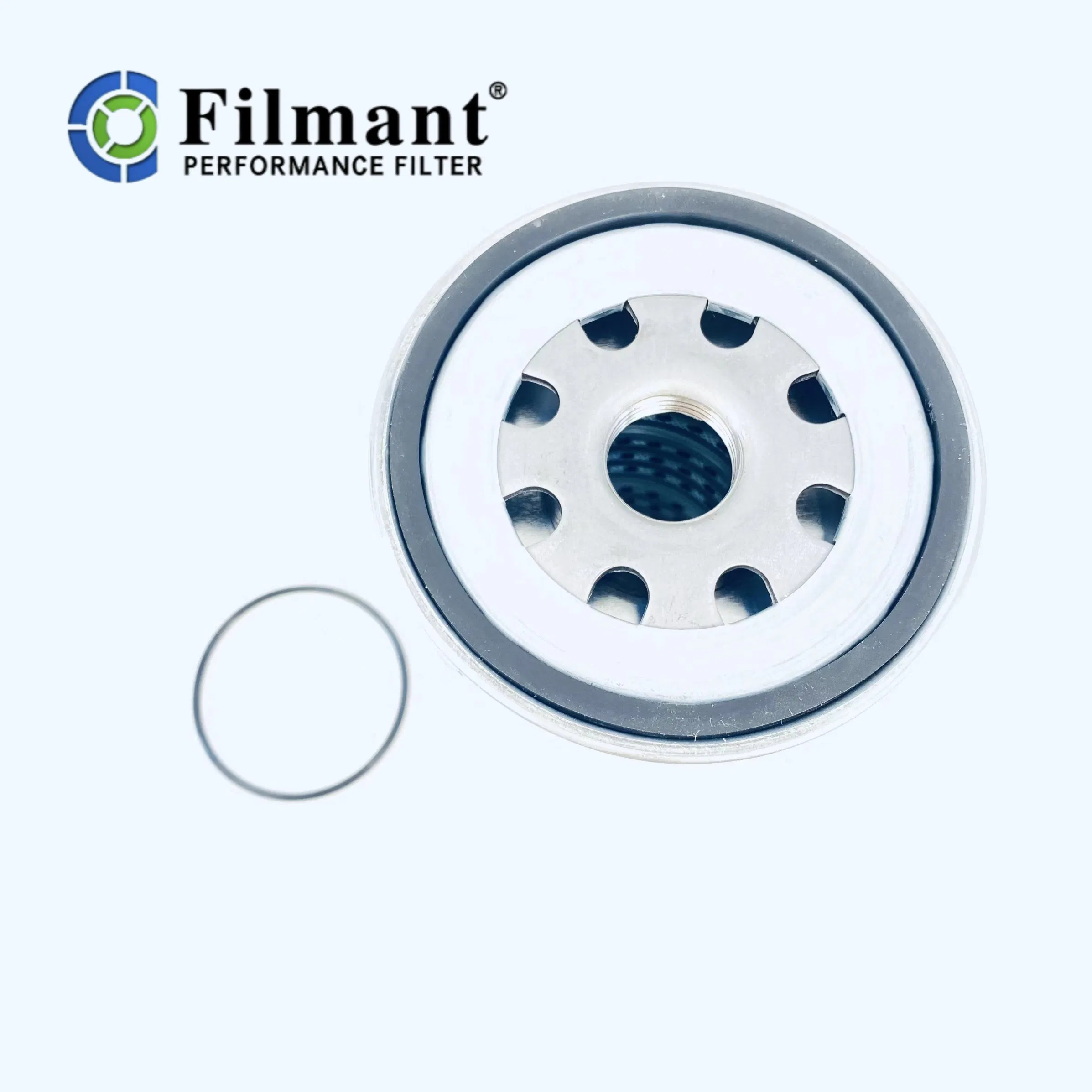 Diesel Fuel Water Separator Filter FS20071 PL420