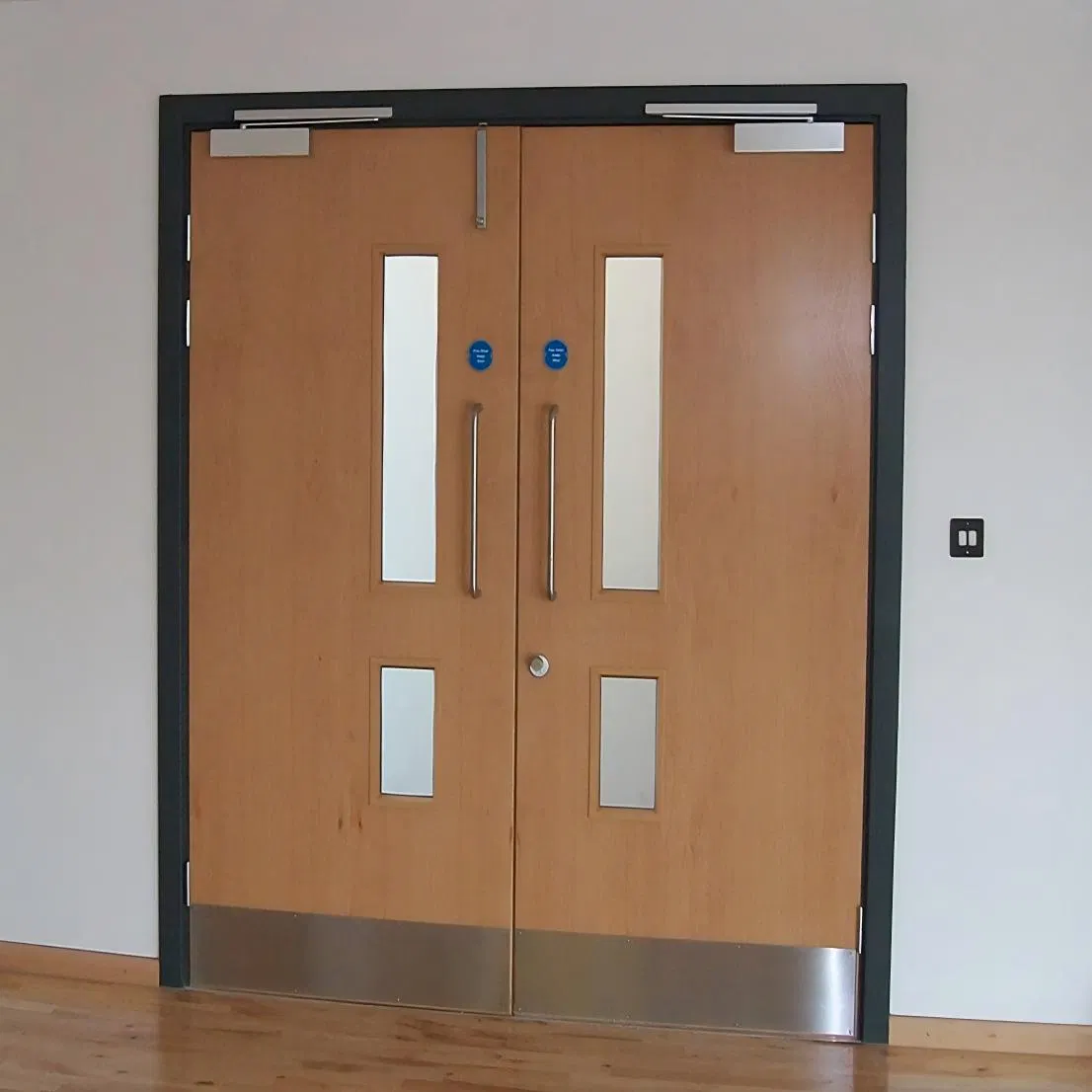 Approved Fire Door for Hotels Wooden Steel Construction Resistance Steel Fire School Interior Single Leaf