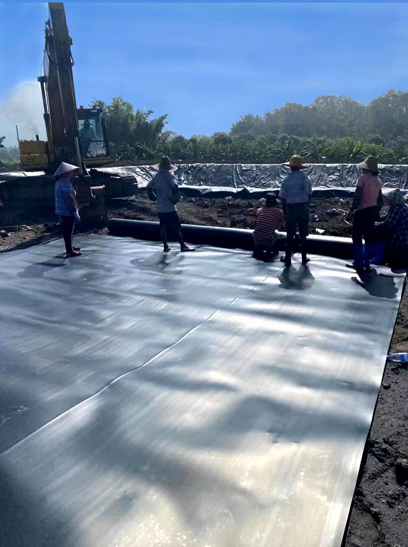 High Quality Wholesale Price Anti-Aging HDPE Geomembrane Waste Water Treatment Agriculture Pond Liner HDPE Geomembranes Sheet