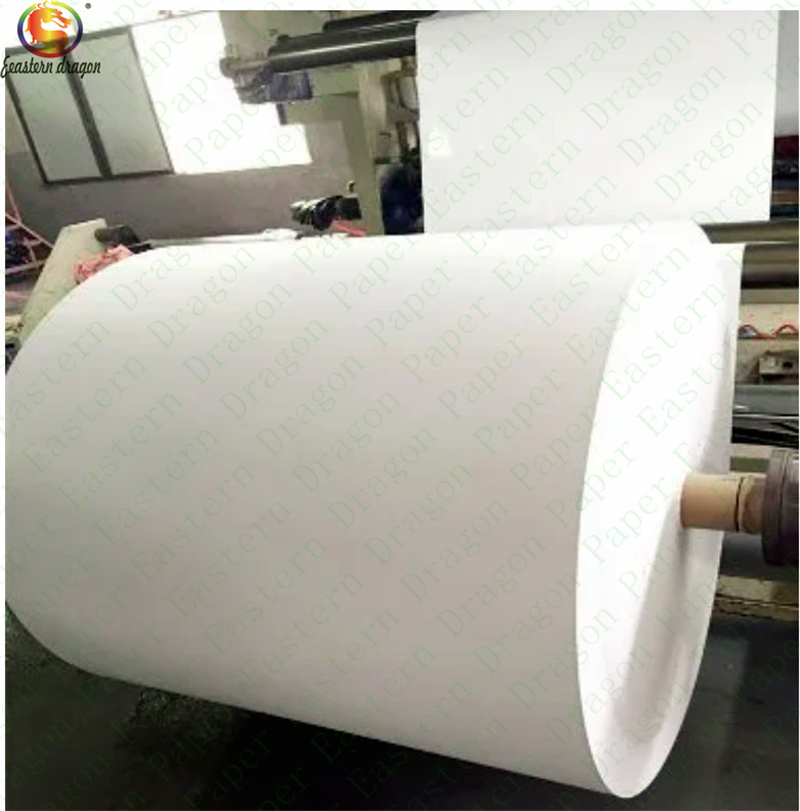 Signel PE Coated Cup Paper Use for Ice Cream Cup