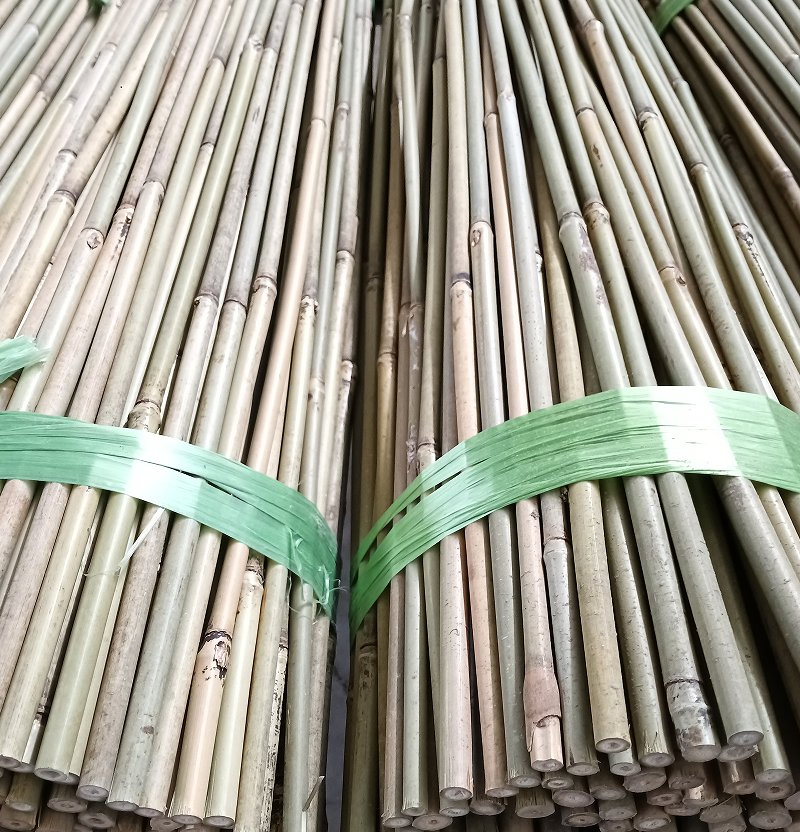 Bamboo Garden Stake /Bamboo Scaffolding Pole
