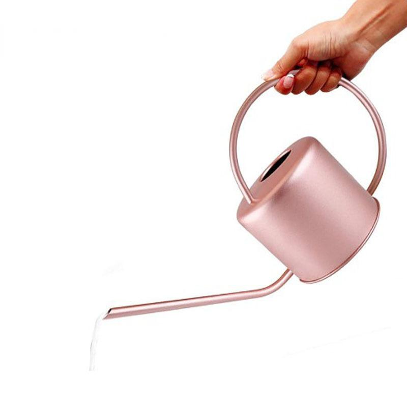 Water Can Metal Stainless Steel Watering Can with Long Spout for Outdoor and Indoor Plants Small Watering Jug for Houseplant, Mini Garden