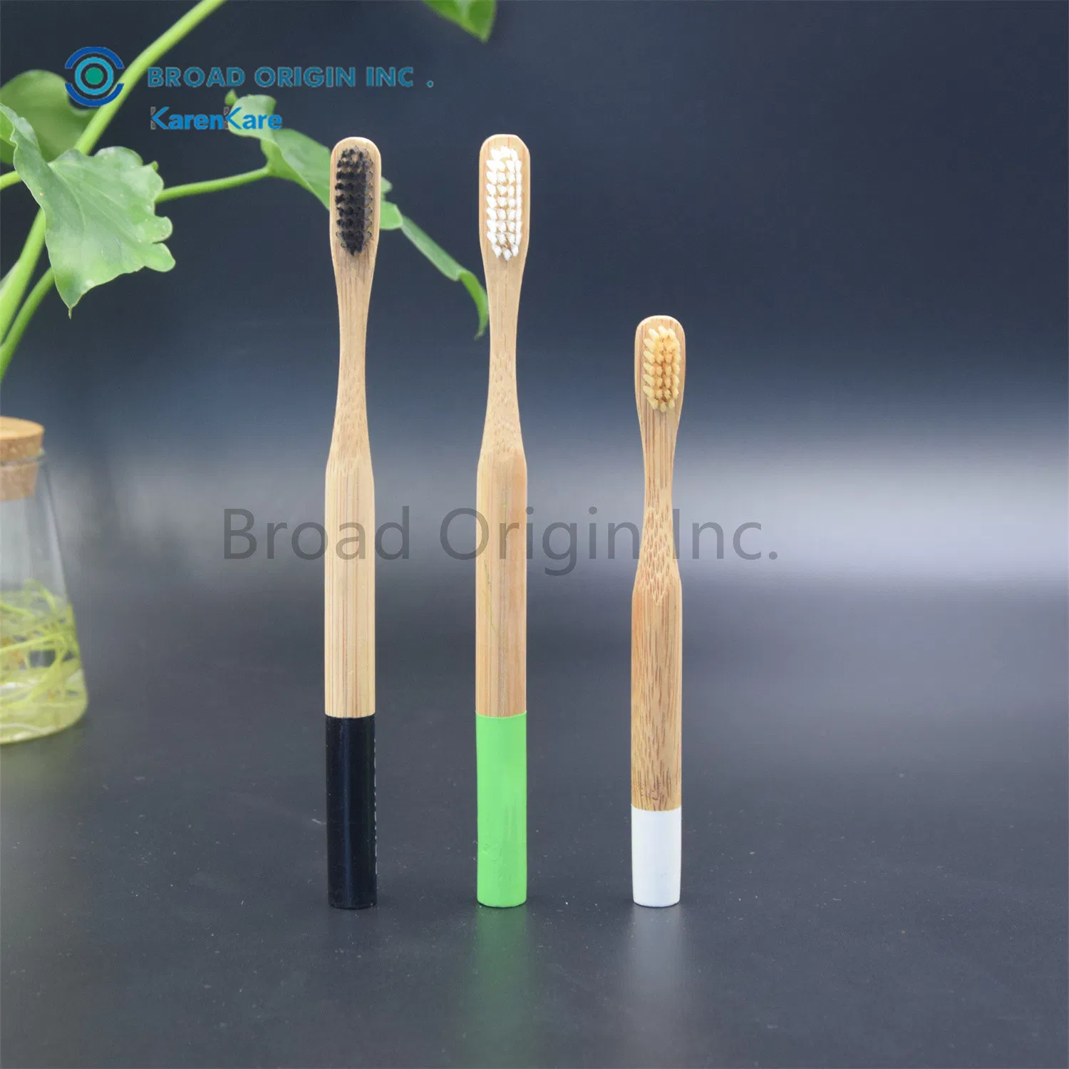 Biodegradable Private Label Natural Adult Toothbrush Bamboo Handle Tooth Brush