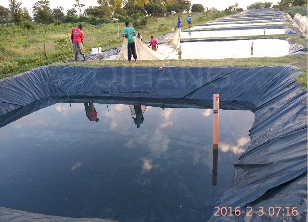 0.5-3mm Black HDPE Geomembrane Polyethylene Pond Liner for Fish Tank Construction