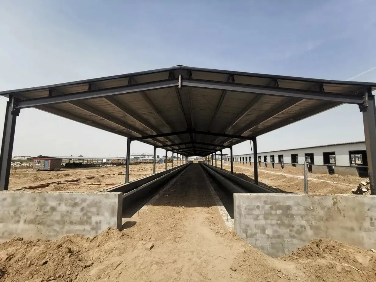 Eco-Friendly Prefabricated Durable Livestock & Poultry Building Steel Structure