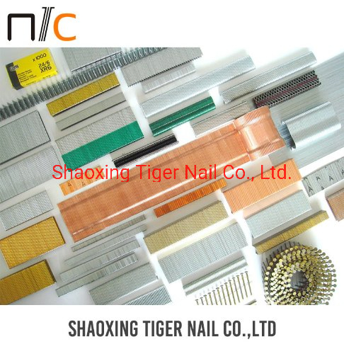 Пистолет высокого давления Staple Tools 5GA100P-SC7C-01