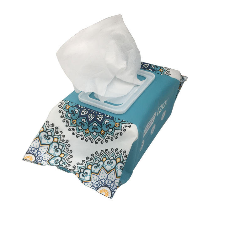 Biodegradable Flushable Wet Wipes for Daily Hygiene Care