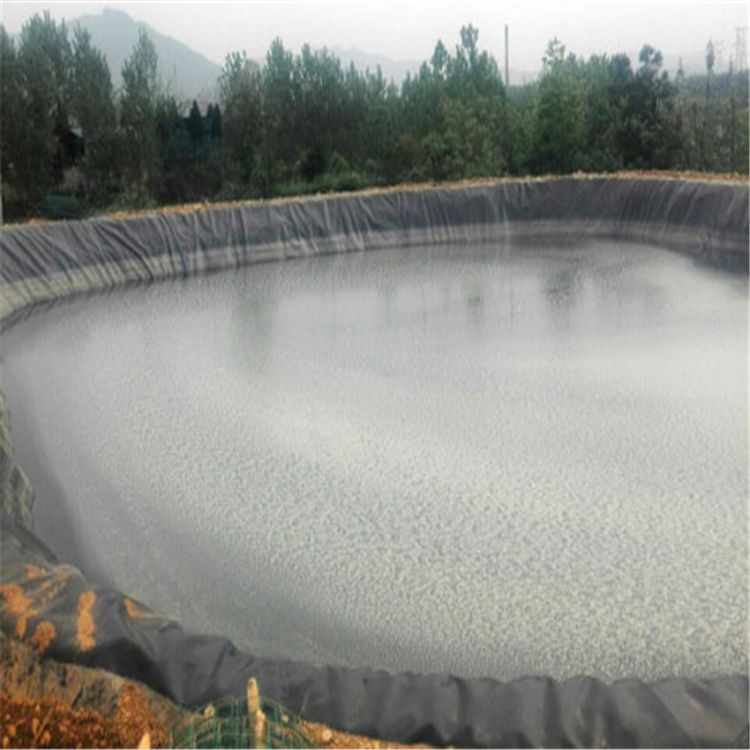 Fish Dam Pond Liner HDPE Geomembrane 0.2-3.0mm
